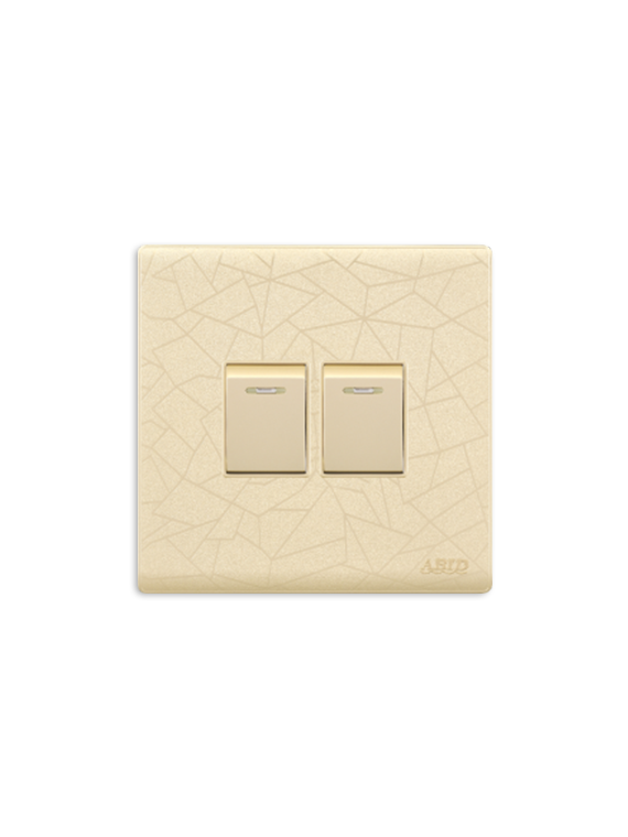 Two Switch Plate(1)