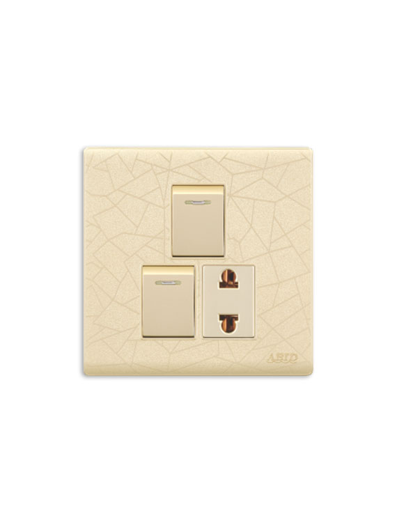 Two Switch One Socket(1)