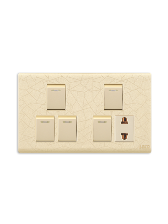 Six Switch Plate(1)