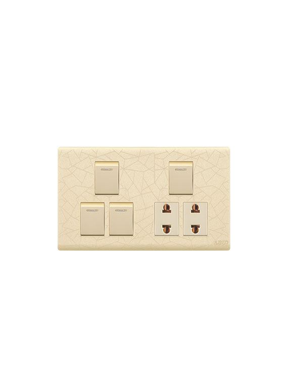 Four Switch Two Socket(1)