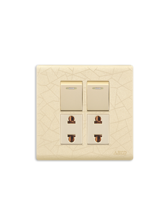 Two Switch Two Socket(1)