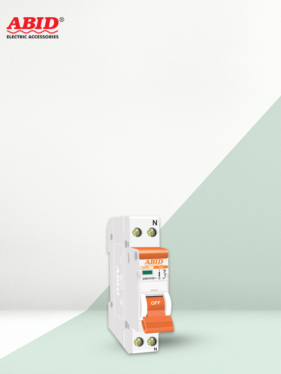 Smart Two Pole Earth Leakage Breaker