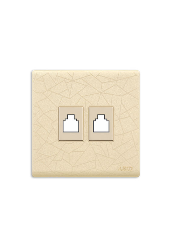 Double Data Plate(1)