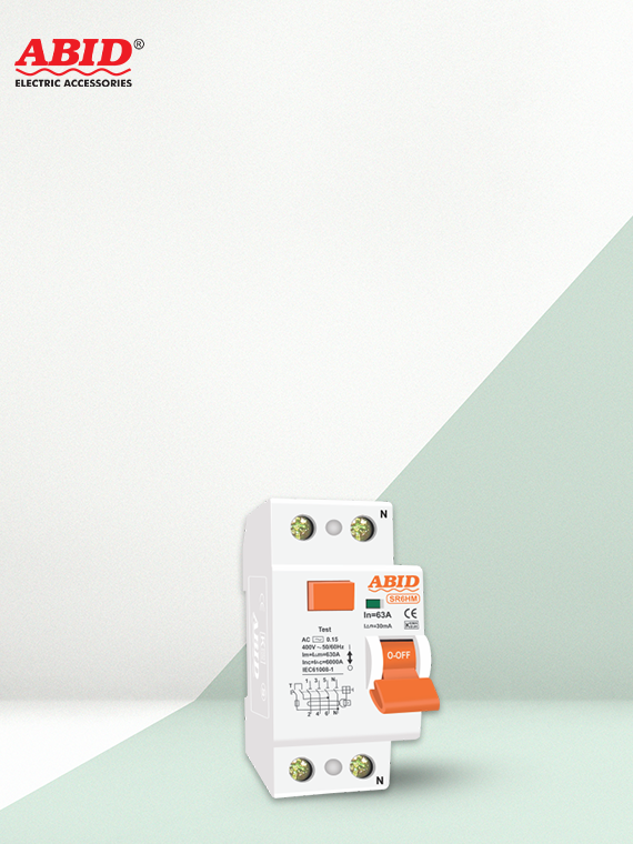 Two Pole Earth Leakage Breaker