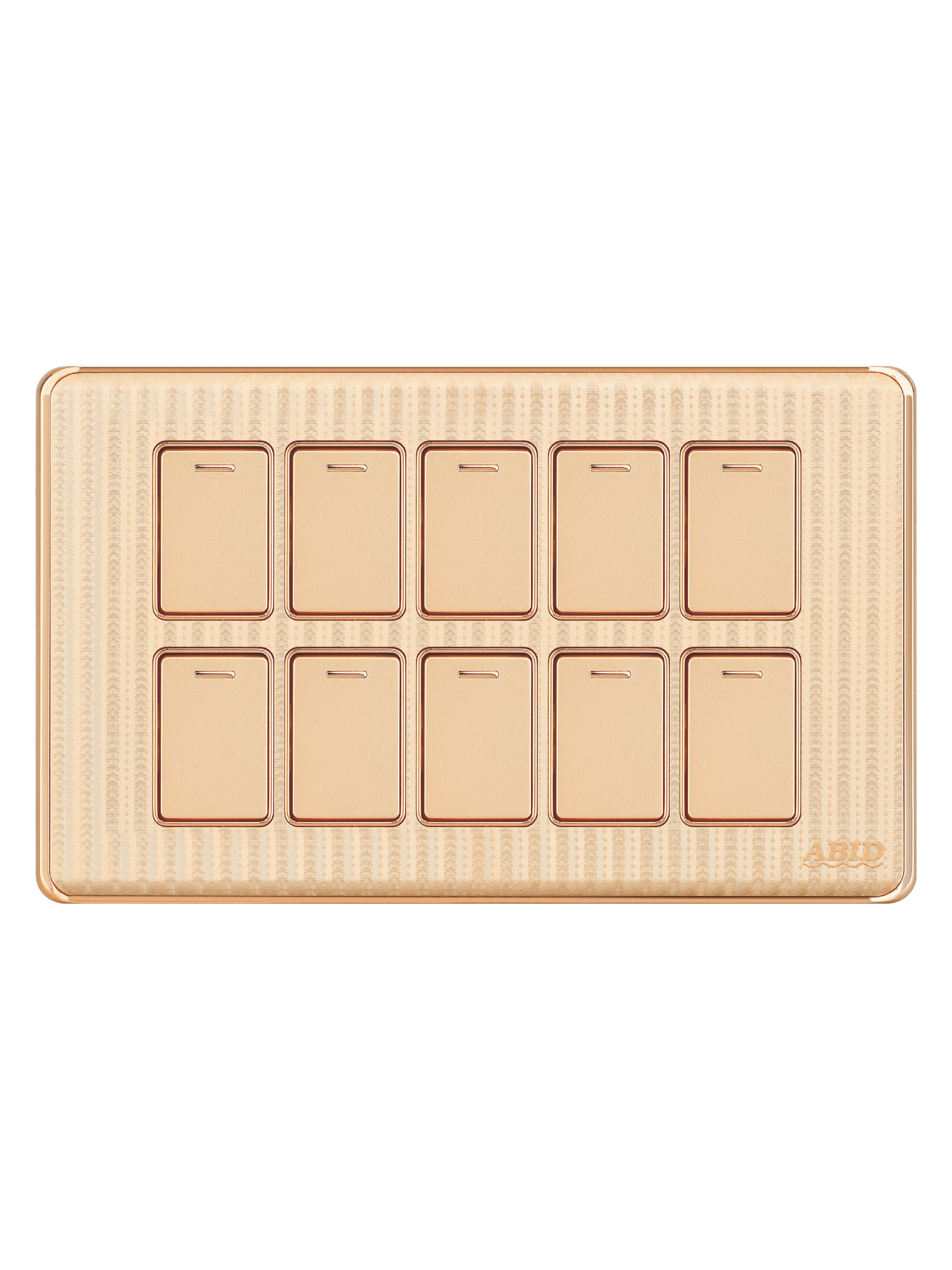 Ten Switch Plate (10G)(1)
